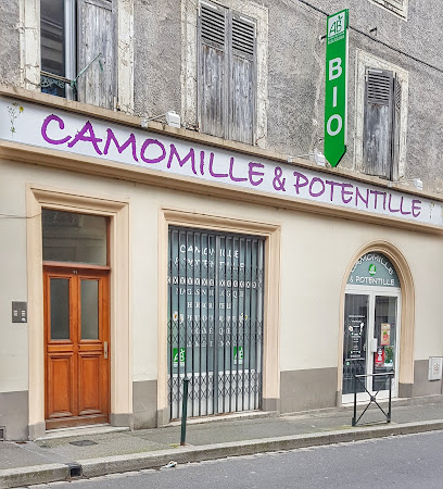 CAMOMILLE ET POTENTILLE